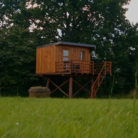 Varda Kaemping Tapiku